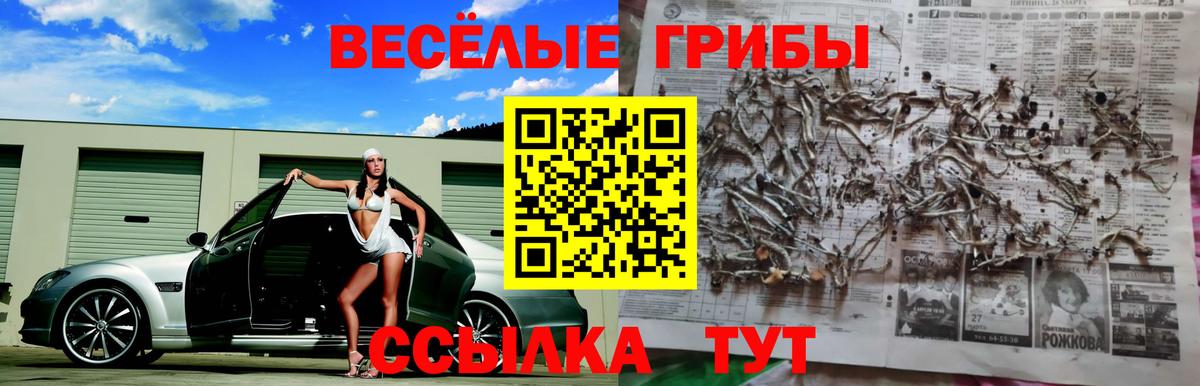 Галлюциногенные грибы мухоморы  Галлюциногенные грибы мицелий  Краснокаменск  Вход с VPN 